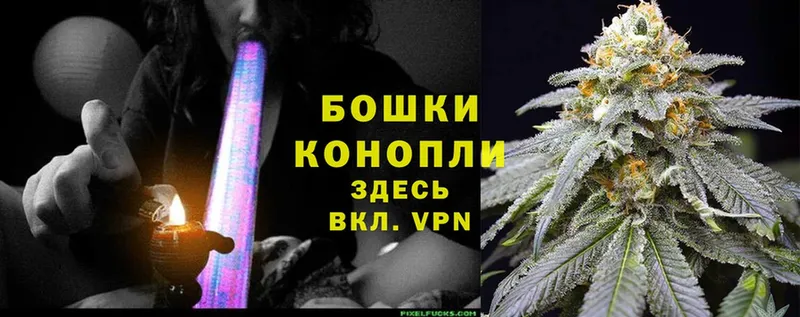 Марихуана SATIVA & INDICA  Высоцк 